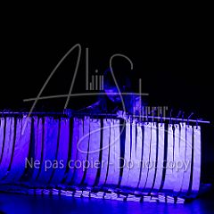 LopezEtLopez 20240713 090.jpg