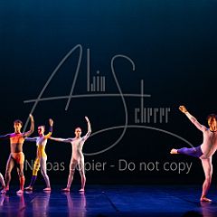 Rainforest 20240704 012.jpg