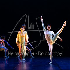 Rainforest 20240704 021.jpg