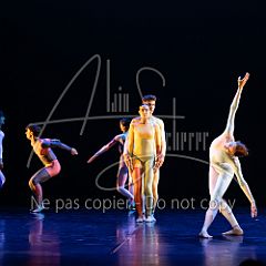 Rainforest 20240704 024.jpg