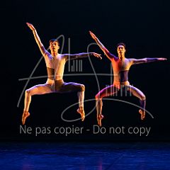 Rainforest 20240704 038.jpg