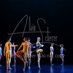 Rainforest 20240704 048.jpg