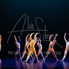 Rainforest 20240704 090.jpg