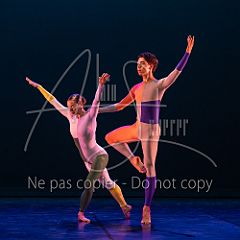 Rainforest 20240704 102.jpg