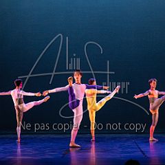 Rainforest 20240704 104.jpg