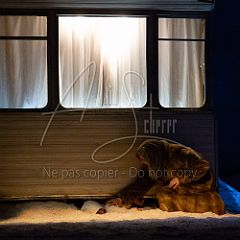 31RueVandenbranden 20190623_002 CPR.jpg