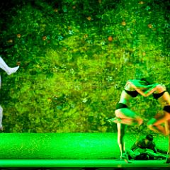 Blanca Li_20090618_5D6649_PRT CPR.jpg