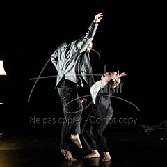 TheCows 20240330 002.jpg