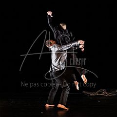 TheCows 20240330 010.jpg