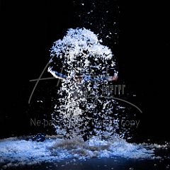 TheCows 20240330 019.jpg