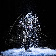 TheCows 20240330 024.jpg