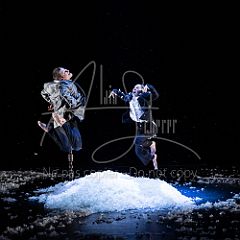 TheCows 20240330 029.jpg