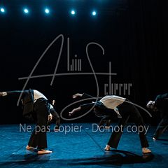 Inversion 20250322 007.jpg