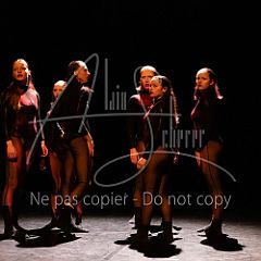 WildISleep 20250322 001.jpg