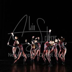 WildISleep 20250322 009.jpg