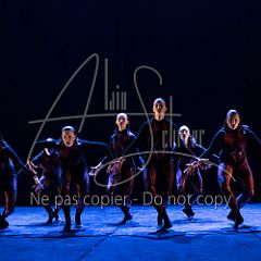 WildISleep 20250322 013.jpg