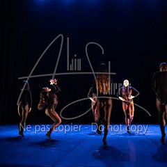 WildISleep 20250322 016.jpg