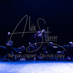 WildISleep 20250322 021.jpg