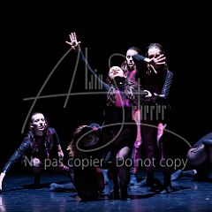 WildISleep 20250322 030.jpg