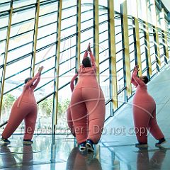 Air 20160628 063.jpg