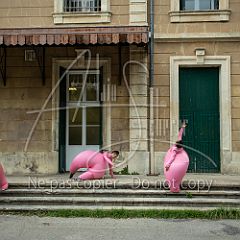 LesGonflés 20200728 042.jpg