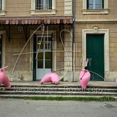 LesGonflés 20200728 043.jpg