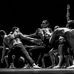 Shanghai Bolero_20130128_037 CPR.jpg