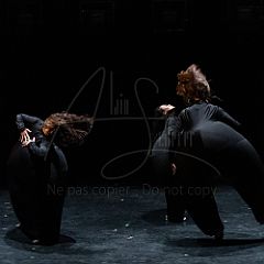 Terre 20210722 003.jpg