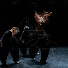 Terre 20210722 006.jpg