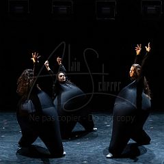 Terre 20210722 018.jpg