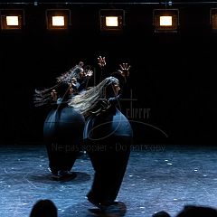 Terre 20210722 027.jpg