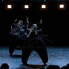 Terre 20210722 029.jpg