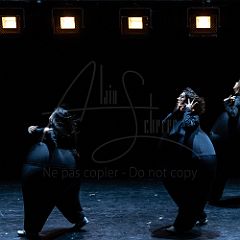 Terre 20210722 030.jpg