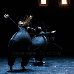 Terre 20210722 033.jpg