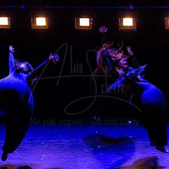 Terre 20210722 040.jpg