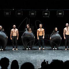 Terre 20210722 061.jpg