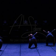 Terre 20220126 005.jpg