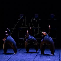 Terre 20220126 022.jpg