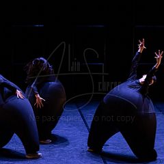 Terre 20220126 026.jpg