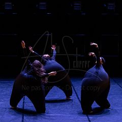 Terre 20220126 030.jpg