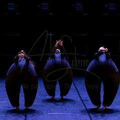 Terre 20220126 031.jpg