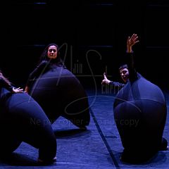 Terre 20220126 034.jpg