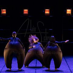 Terre 20220126 052.jpg