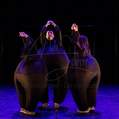 Terre 20220126 065.jpg