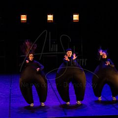 Terre 20220126 068.jpg