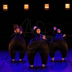 Terre 20220126 070.jpg