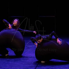 Terre 20220126 079.jpg