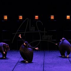 Terre 20220126 080.jpg