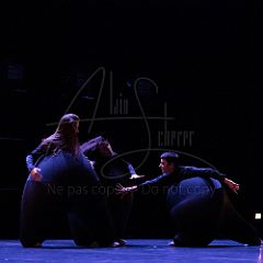 Terre 20220127 004.jpg