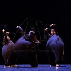 Terre 20220127 020.jpg